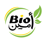 Logoweb